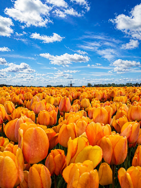 /praktische-inpaklijst-voor-jouw-vakantie-in-callantsoog-compleet-lekkernaarzee-proof